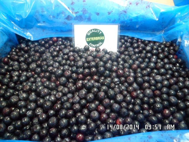 Arandanos (Mirtilos) IQF